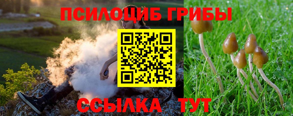 Псилоцибиновые грибы GOLDEN TEACHER Первоуральск